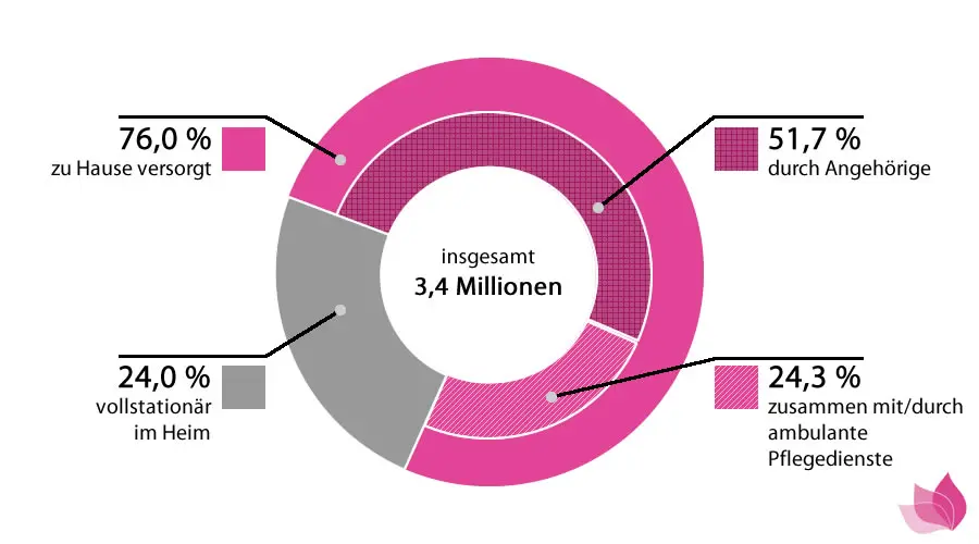 Pflegebedürftige nach Versorgungsart 2017